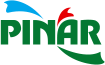 Pınar